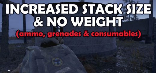 Increased Stack Size and No Weight – for ammo and consumables