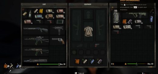 Large Loot Inventory