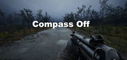 Quick Toggle Compass and UI Visibility