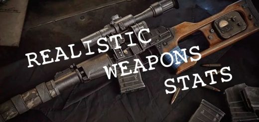 Realistic Weapons Stats