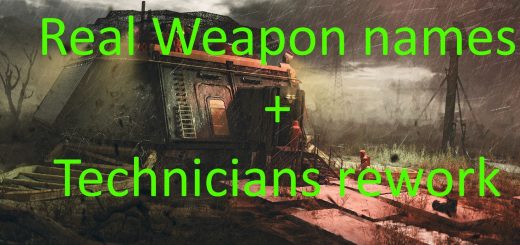 Real Weapon Names Global and Technicians rework merge (ENG ONLY)