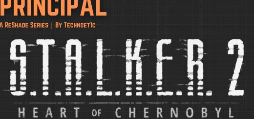 PRINCIPLE – S.T.A.L.K.E.R 2 Heart Of Chernobyl